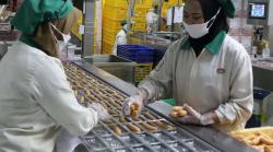 Hati-Hati Frozen Food Makin Diminati, Ini yang Harus Diperhatikan Para Ibu