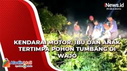 Video Ibu dan Anak Tertimpa Pohon Tumbang di Wajo saat Mengendarai Sepeda Motor