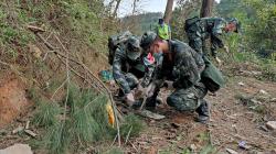 Pesawat Bawa 132 Orang Terjun Bebas di China, Tim Penyelamat Jelajahi Lereng