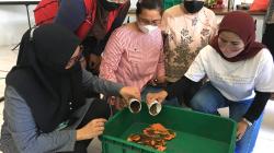 Kurangi Volume Sampah, Warga Surabaya Manfaatkan Maggot untuk Olah Sampah Organik