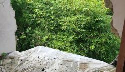 Erosi Terjang Desa Sepat Majalengka, Kades Hanya Andalkan Proposal Perbaikan