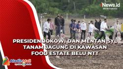 Presiden Jokowi dan Mentan SYL Tanam Jagung di Kawasan Food Estate Belu NTT