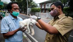 Hewan-Hewan Pasar Barito Disuntik Vaksin Rabies