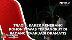 Video Evakuasi Dramatis Kakek Penebang Pohon Tewas Tersangkut di Padang 