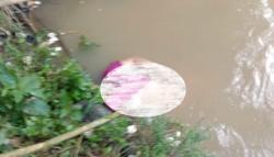 Perempuan Berbaju Merah Tewas di Sungai Cimandiri Sukabumi, Jasad Ditemukan Pemancing