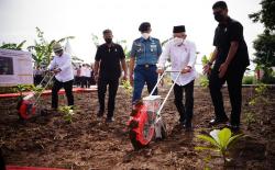 Pakai Kemeja Putih, Ma'ruf Amin Tanam Jagung saat Tinjau Integrated Farming di Purwakarta