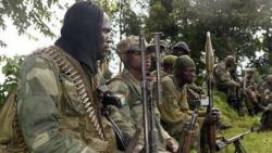 Baku Tembak Pemberontak dan Tentara, 2 Pelaku Ditangkap