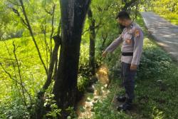 Tragis, Pelajar di Gunungkidul Tewas Tabrak Pohon usai Antar Ayah ke Pasar<