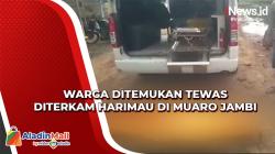 Gempar, Warga Ditemukan Tewas Diterkam Harimau di Muaro Jambi