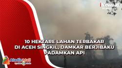 10 Hektare Lahan Terbakar di Aceh Singkil, Damkar Berjibaku Padamkan Api
