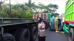 Adu Banteng dengan Fuso, Truk Batok Kelapa di Lumajang Terguling  