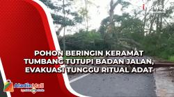 Pohon Beringin Keramat Tumbang Tutupi Badan Jalan, Evakuasi Tunggu Ritual Adat