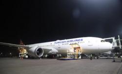 Kemenhub Ungkap Insiden di Turkish Airlines Ternyata Berawal dari Hewan Peliharaan 