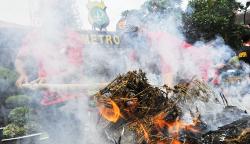 32,7 Kg Ganja Dibakar di Halaman Polres Metro Bekasi Kota