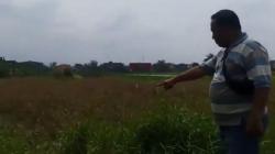 Sidoarjo Geger, Warga Temukan Tengkorak Manusia Terpisah 7 Meter dari Rangka Badan