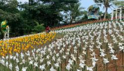 Ngabuburit di Karawang, Nunggu Buka Puasa Sambil Nikmati 13.000 Kincir Angin 