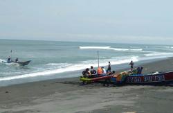 Memasuki Awal Puasa, Nelayan Bantul Panen Udang Jerbung 