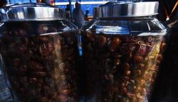 Penjualan Kurma Meningkat pada Bulan Ramadan