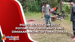 Polisi Bentuk Tim Usut Potongan Tubuh Bayi yang Dimakan Anjing di Tana Toraja