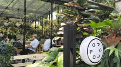 8 Kafe Sentul Cocok buat Nongkrong dan Hunting Foto, Nomor 7 Ada Tempat Glamping