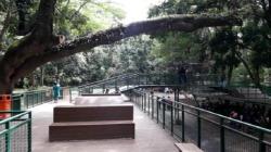 Rencana RTRW 2022-2042, Rimba Kota Segera Dibangun di Bandung<