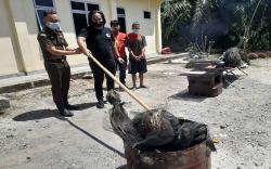 Polisi dan Jaksa Bakar Ganja yang Ditemukan di Kebun Cabai di Lahat <