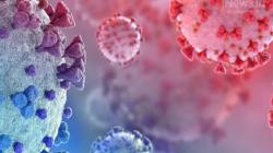 Kasus Covid-19 di Sangihe Kembali Bertambah 4, Total Sudah 1.830 Orang