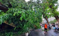BMKG: Jateng Selatan Masuki Masa Pancaroba, Waspadai Hujan Lebat dan Angin Kencang