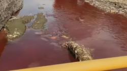 Buang Limbah hingga Sungai di Denpasar Berwarna Merah, Pengusaha Sablon Diamankan