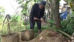 Kisah Miris Kakek Pencari Pasir di Sukabumi, Hidup Andalkan Rp5.000 per Keranjang <