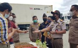 Karantina Belawan Lepas Ekspor Komoditas Pertanian ke 45 Negara