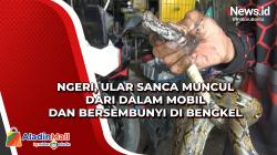 Ngeri, Ular Sanca Muncul dari Dalam Mobil dan Bersembunyi di Bengkel