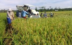 Indonesia Menjadi Raksasa Pangan Dunia, Dekan FP Unhas: ini Syaratnya