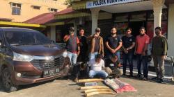 Polda Riau Bongkar Penjualan Gading Gajah, 3 Pelaku Ditangkap