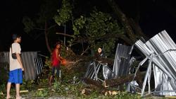 Bencana Angin Kencang di Madiun, Pohon dan Tiang Listrik Tumbang