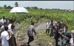 Kolam Retensi Simpang Bandara Palembang Segera Dibangun, Tahap Pertama dengan Dana Rp30 Miliar<