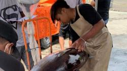 Bitung Ingin Bangkitkan Kembali Kejayaan Industri Perikanan 