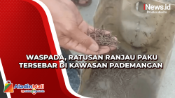 Waspada, Ratusan Ranjau Paku Tersebar di Kawasan Pademangan