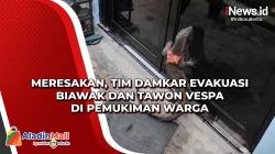 Meresakan, Tim Damkar Evakuasi Biawak dan Tawon Vespa di Pemukiman Warga