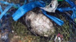 Mataram Gempar, Warga Lagi Ngabuburit Temukan Benda Mirip Granat Nanas<