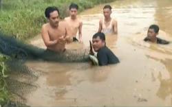 Warga 3 Desa Buru Puluhan Buaya Muara yang Lepas dari Penangkaran di Banyuasin <