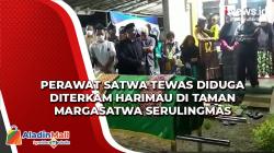 Video Perawat Satwa Tewas Diduga Diterkam Harimau di Taman Margasatwa Serulingmas
