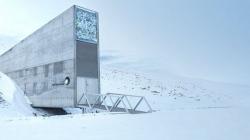 Fakta Unik Brankas Benih Dunia Svalbard, Suhu di Dalam Bisa Minus 18 Derajat Celsius