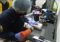 Jual Madu, Pemuda Ini Raih Omzet Puluhan Juta Rupiah Sebulan