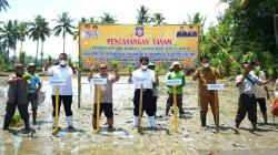 Kementan Ajak Petani Budi Daya Tanaman Sehat, Disiapkan 957 Hektare Lahan 