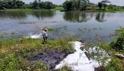 Diduga Tercemar Limbah, Sungai Citarum Padalarang KBB Berbusa Putih dan Bau Tak Sedap<