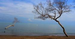 5 Destinasi Pantai Dekat Bandung, Nomor 3 Unik Air Lautnya Tiga Warna<