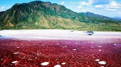 5 Tempat Indah Sekaligus Mengerikan di Dunia, Tertarik Mengunjunginya?