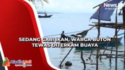 Sedang Cari Ikan, Warga Buton Tewas Diterkam Buaya