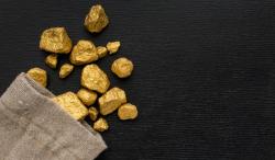 Pakar IPB Ungkap Indonesia Punya Pohon Emas yang Bisa Jadi Harta Karun, Apa Itu?